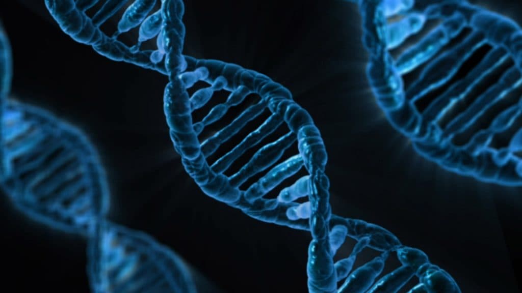 Studie visar cancercellers utveckling – nya insikter om cancer
