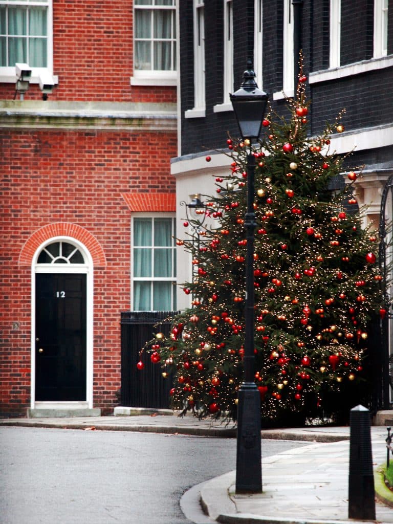 Larry katten 10 Downing Street – en ikonisk närvaro i politiken