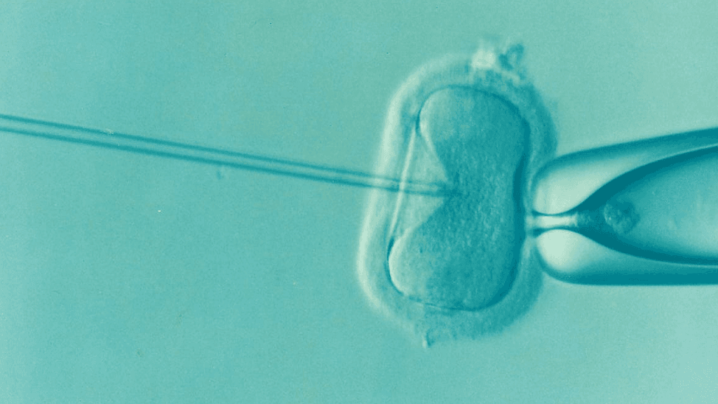 IVF tillägg – granskning visar brist på effekt
