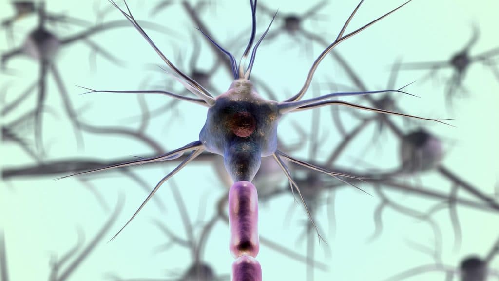 Stamcellstransplantation Parkinsons – lovande resultat från klinisk studie