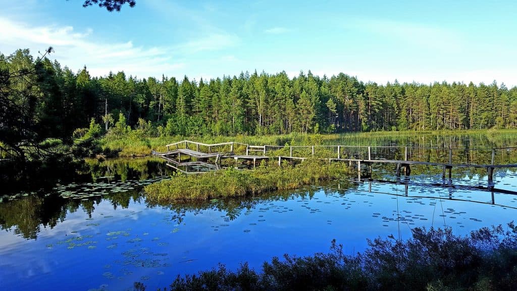 Skärpta regler företagsklimat – nya lagar för rättvis konkurrens