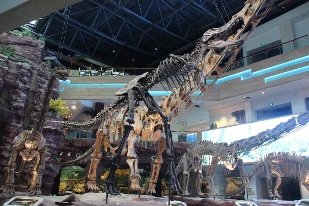 T-rex armar: Varför hade denna dinosaurie så små framben?
