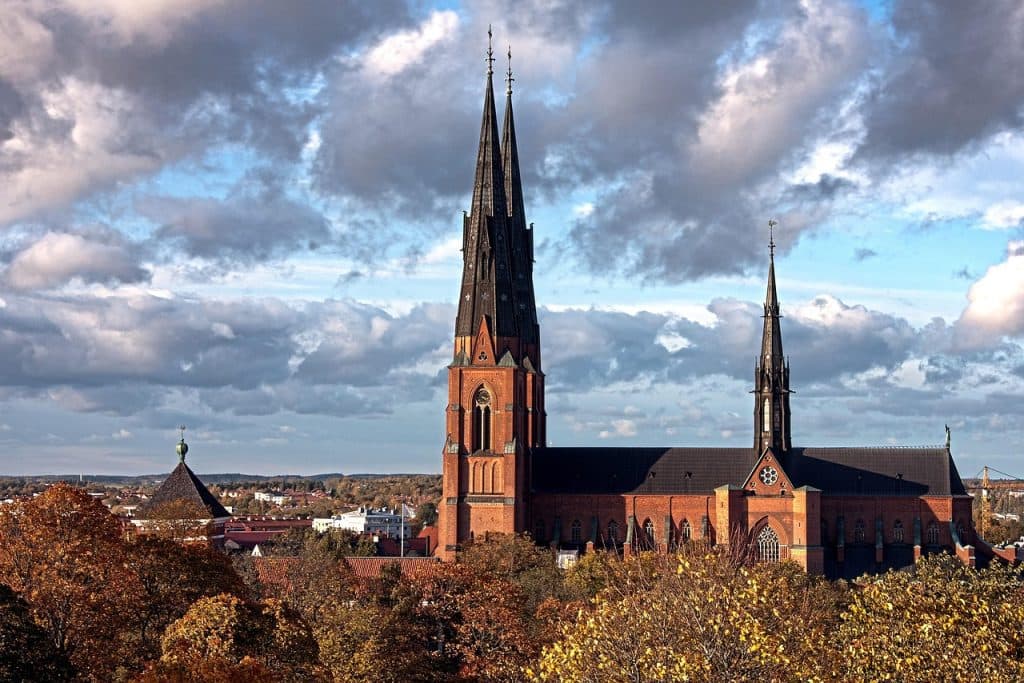 Erik Pelling Uppsala – trött på språvägsfrågan