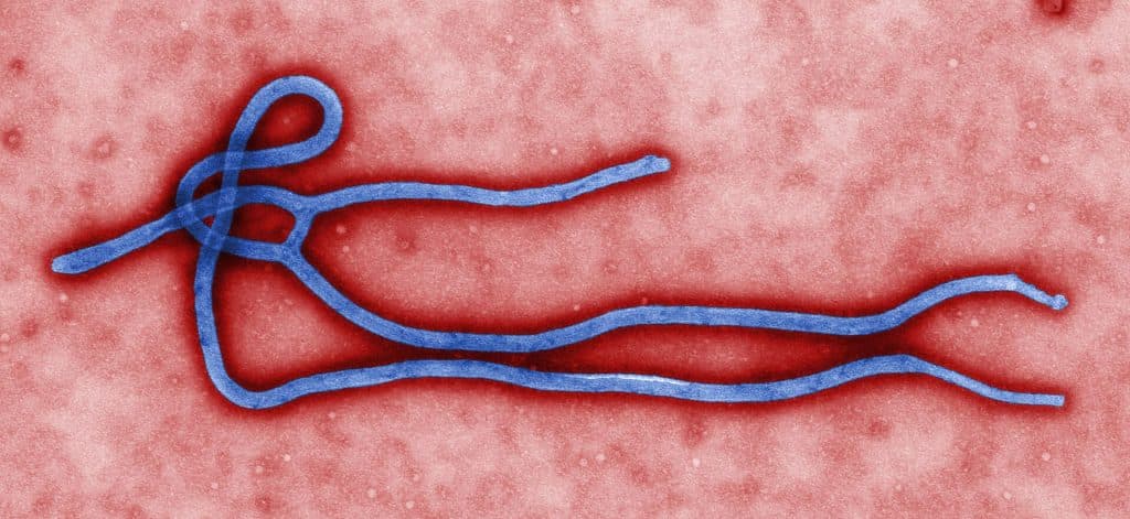Ebolautbrottet i Kongo-Kinshasa näst störst någonsin – 7 258 fall och inget godkänt vaccin