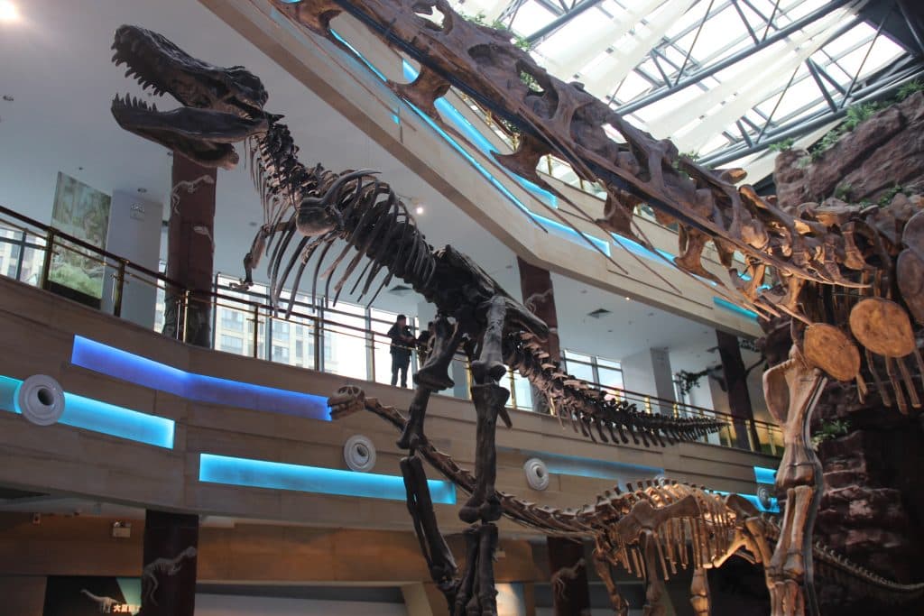 Tyrannosaurus rex auktion – dyraste skelettet sålt för 50 miljoner dollar