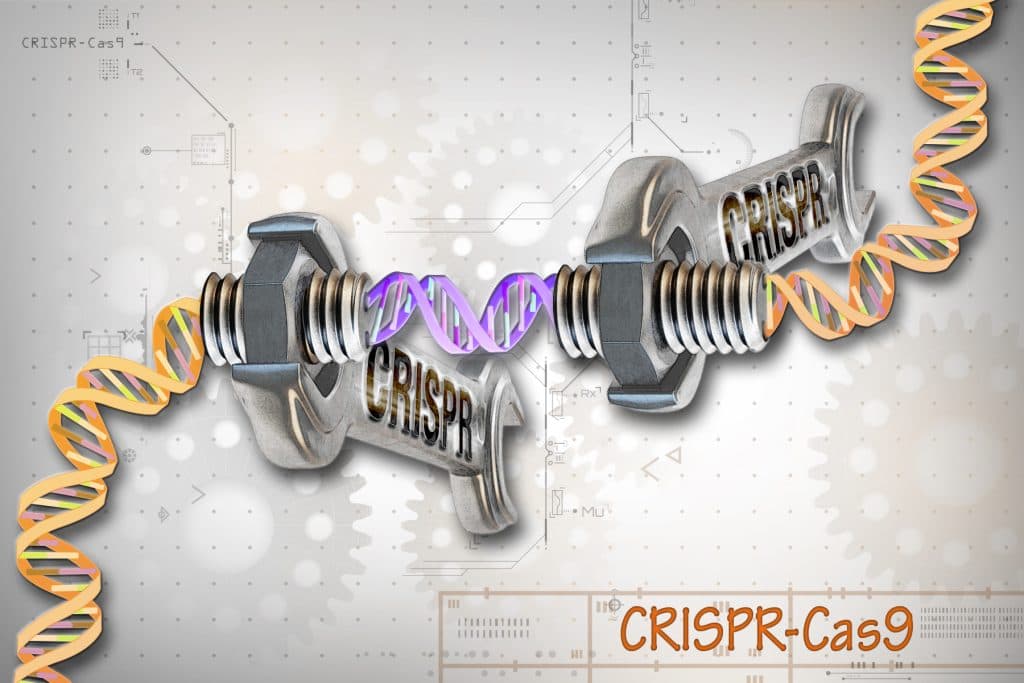 CRISPR-metod dödar cancerceller med p53-mutation i labb