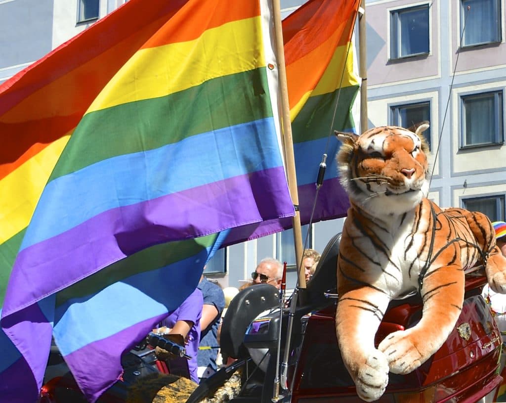 Stockholm Pride visar hur öppenhet mot hot stärker samhället